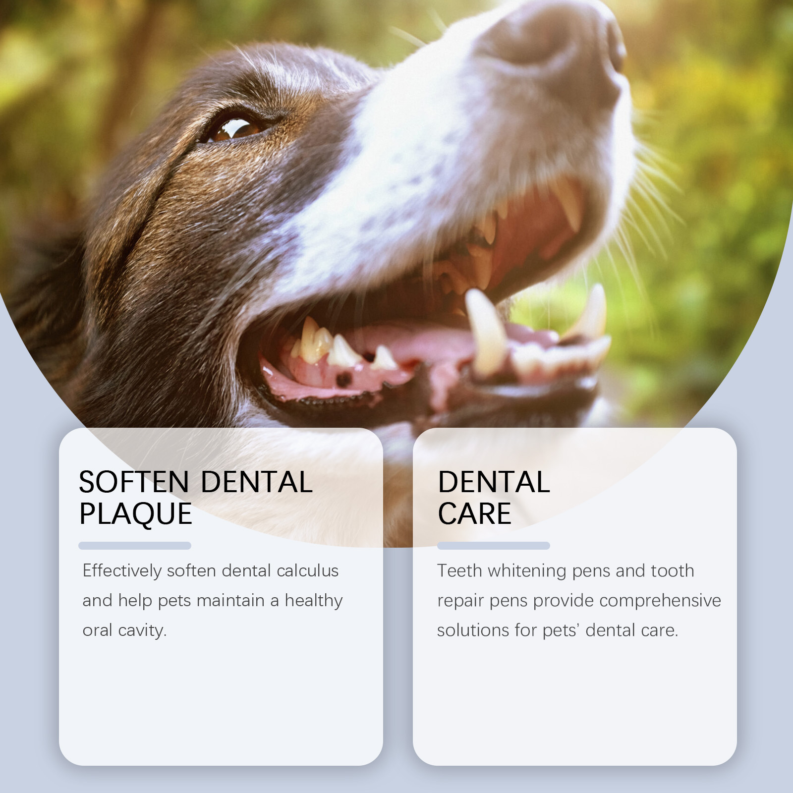 Set met tandbleekstiften voor  - Teeth Whitening Pens recensie en prijs